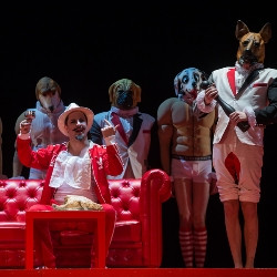 Cцена из «Укрощение строптивой»