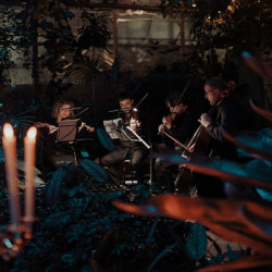 Магия свечей. Людовико Эйнауди: Шедевры неоклассики