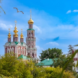 Девичьим полем в Новодевичью обитель