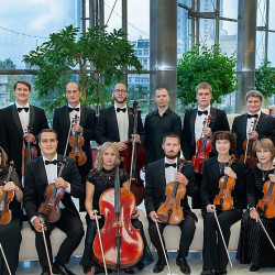 В царстве струнных инструментов