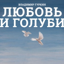 Scene from «Любовь и голуби»