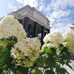 Москва: современность и история