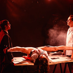 Секс. Жизнь. Смерть