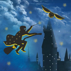 Гарри Поттер: Путешествие в Хогвартс