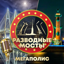 Бoльшая прогулка «Мегаполис и разводные мосты» с ночным выходом в Финский залив, авторской экскурсией и живой музыкой