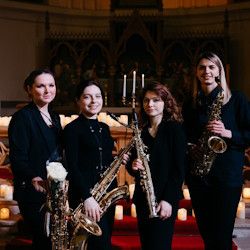 Маленькая ночная серенада. Лунная соната. Лунный свет