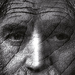 Cцена из «Лавр»