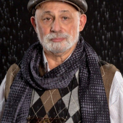 Владимир Воловик