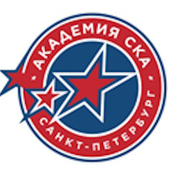 Академия СКА – Динамо-Шинник