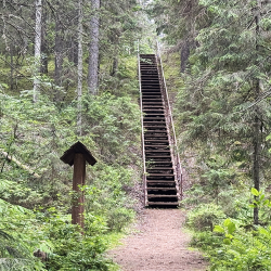 По большой Валдайской тропе 