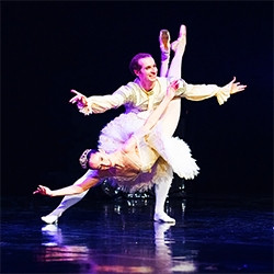 Гала-Балет Щелкунчик, Лебединое озеро, Дон Кихот