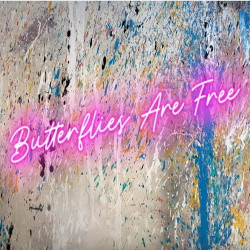 Cцена из «Эти свободные бабочки»