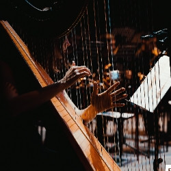 Музыканты шутят