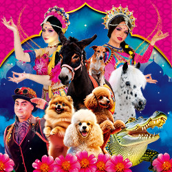 Московский цирк-шапито «Кудзинов»