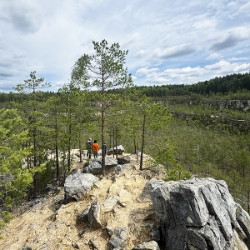 На цветение Северных Орхидей в скалы Дюки