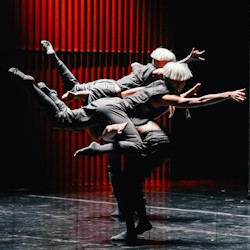 Cцена из «Кленовый сад, Свадебка»