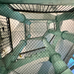 Тайны масонства в Санкт-Петербурге