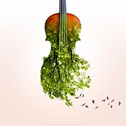 Времена года. Вивальди. Пьяццолла
