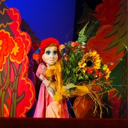 bbf22f12c952f2546857db2ef75746c9 4334515 кукольный театр телефон кассы