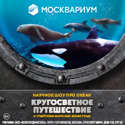 Москвариум Новогодний Круиз Купить Билеты