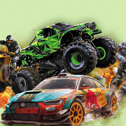 Шоу каскадеров