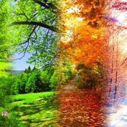 Музыка при свечах! Вивальди. Времена года. Моцарт. Маленькая ночная серенада. Паганини. Кампанелла