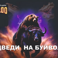 Цирк «Торнадо»