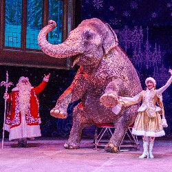 Полёт в страну мечты