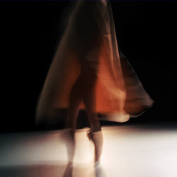 Nikola Melnikov Music For Flowers 2.0