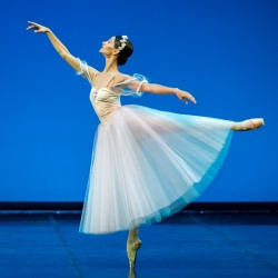 d96fb4353f7ca4e0899ed32562fde4df кассы кремлевского дворца телефон