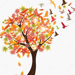 Кот Котофеич и Чудо дерево