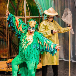 Попугайчик Пай