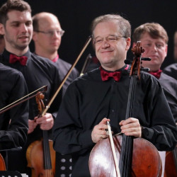 Эффект Шлягера