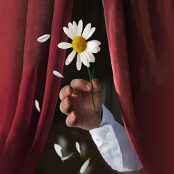 Беда от нежного сердца (Ах, кама - ши савмалла?)