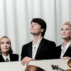 Брамс. Бетховен. Барток