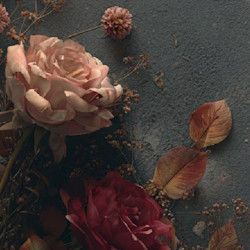 Вокальное трио «Реликт». Мелодии любви