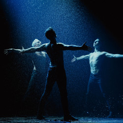 Шоу под дождём V. Признание в любви