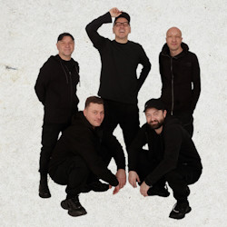 Группа «Жуки»