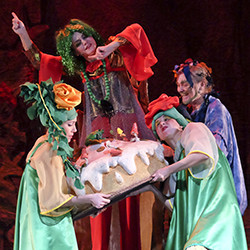 Cцена из «Волшебный цветок»