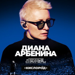 Диана Арбенина. Ночные Снайперы