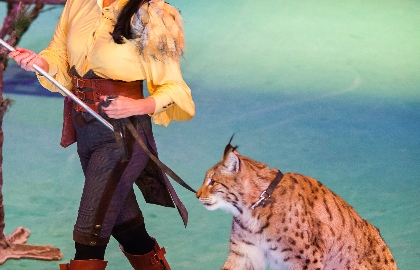 История хрустальной туфельки