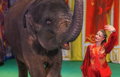 История хрустальной туфельки