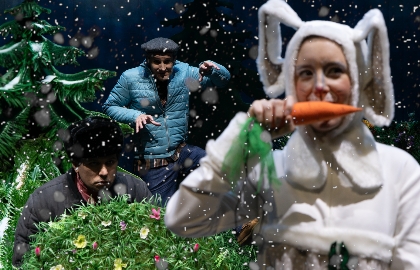 Новогодние подснежники