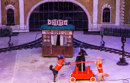 Дорога – длиною в век