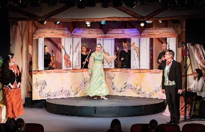 Музыкальный магазинчик Феи Динь-динь