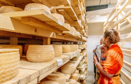 Лебединое озеро и Сырное королевство