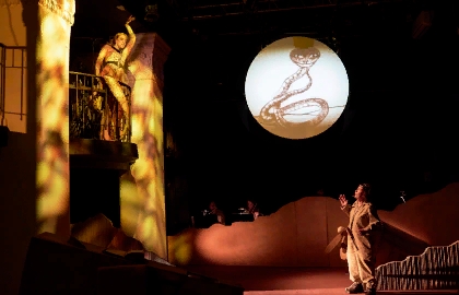 Маленький принц. Полёт в одном действии