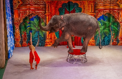 Вслед за старой сказкой