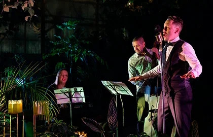 Магия свечей. «Frank Sinatra. Christmas songs»