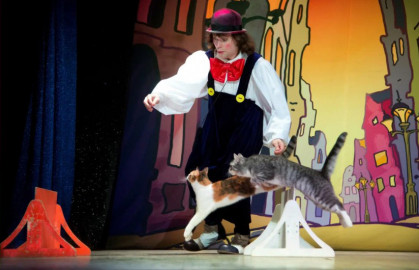 Волшебные кошки. При участии Юрия Куклачева